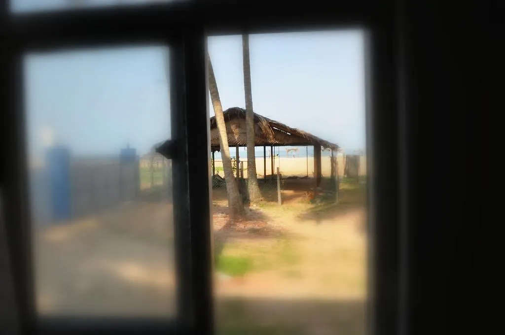 Tms Beach House Negombo Penzion