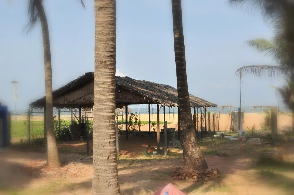 Tms Beach House Negombo Guest house